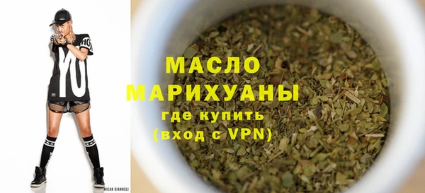 индика Михайлов