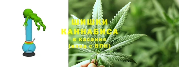 молекула духа Михайловск