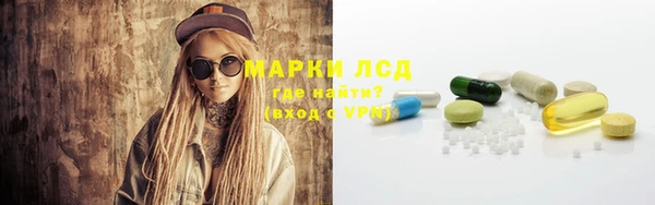 индика Михайлов