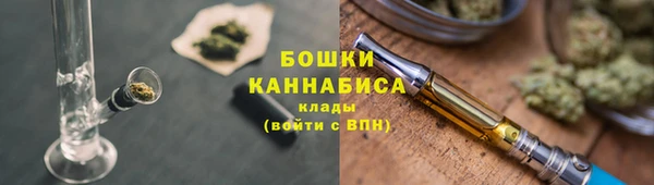 молекула духа Михайловск