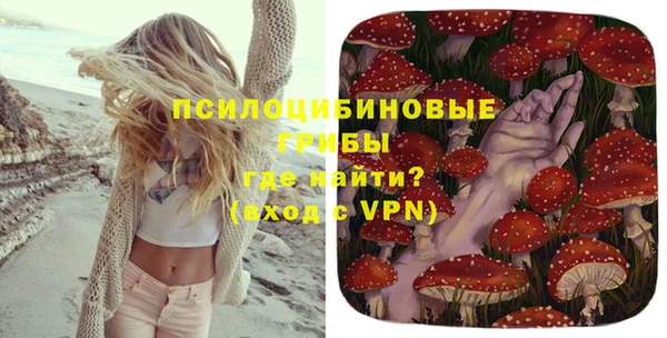 дурь Михайловка