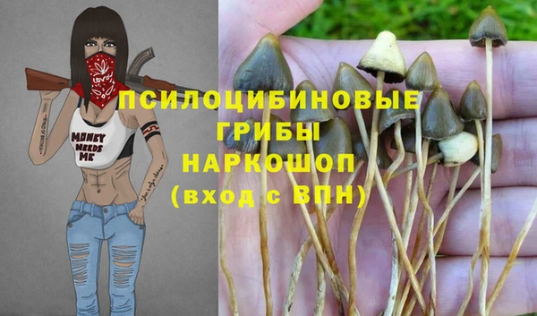 дурь Михайловка