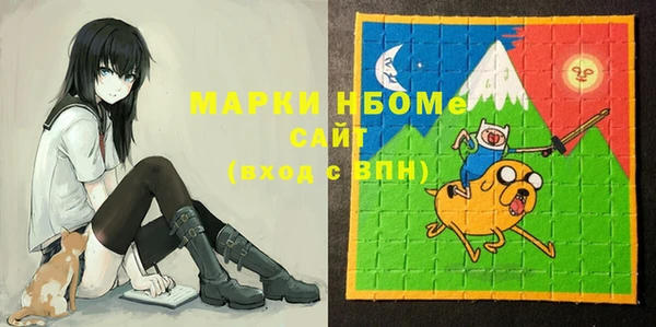 индика Михайлов