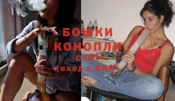 молекула духа Михайловск
