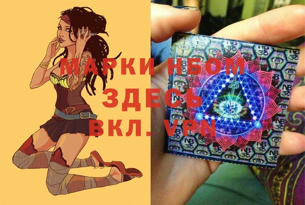 индика Михайлов