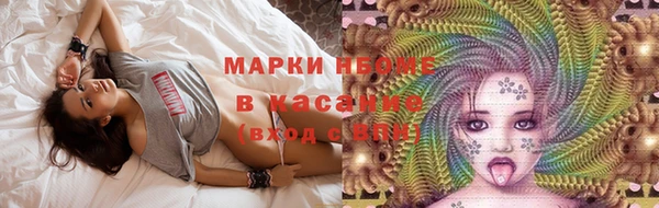 индика Михайлов