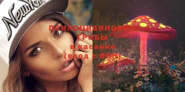 молекула духа Михайловск