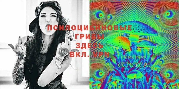 молекула духа Михайловск