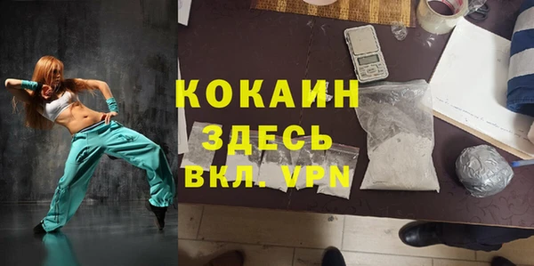 индика Михайлов