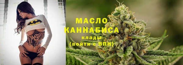 молекула духа Михайловск