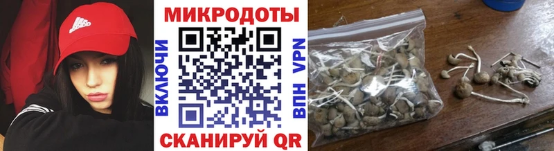 МЕГА онион  Ессентукская  Галлюциногенные грибы мицелий  цена  