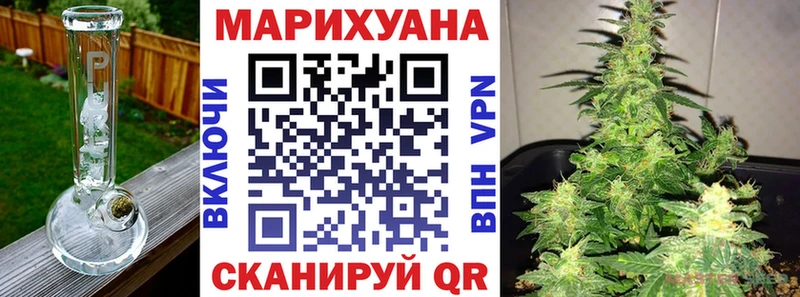 где найти наркотики  Ессентукская  Канабис Ganja 